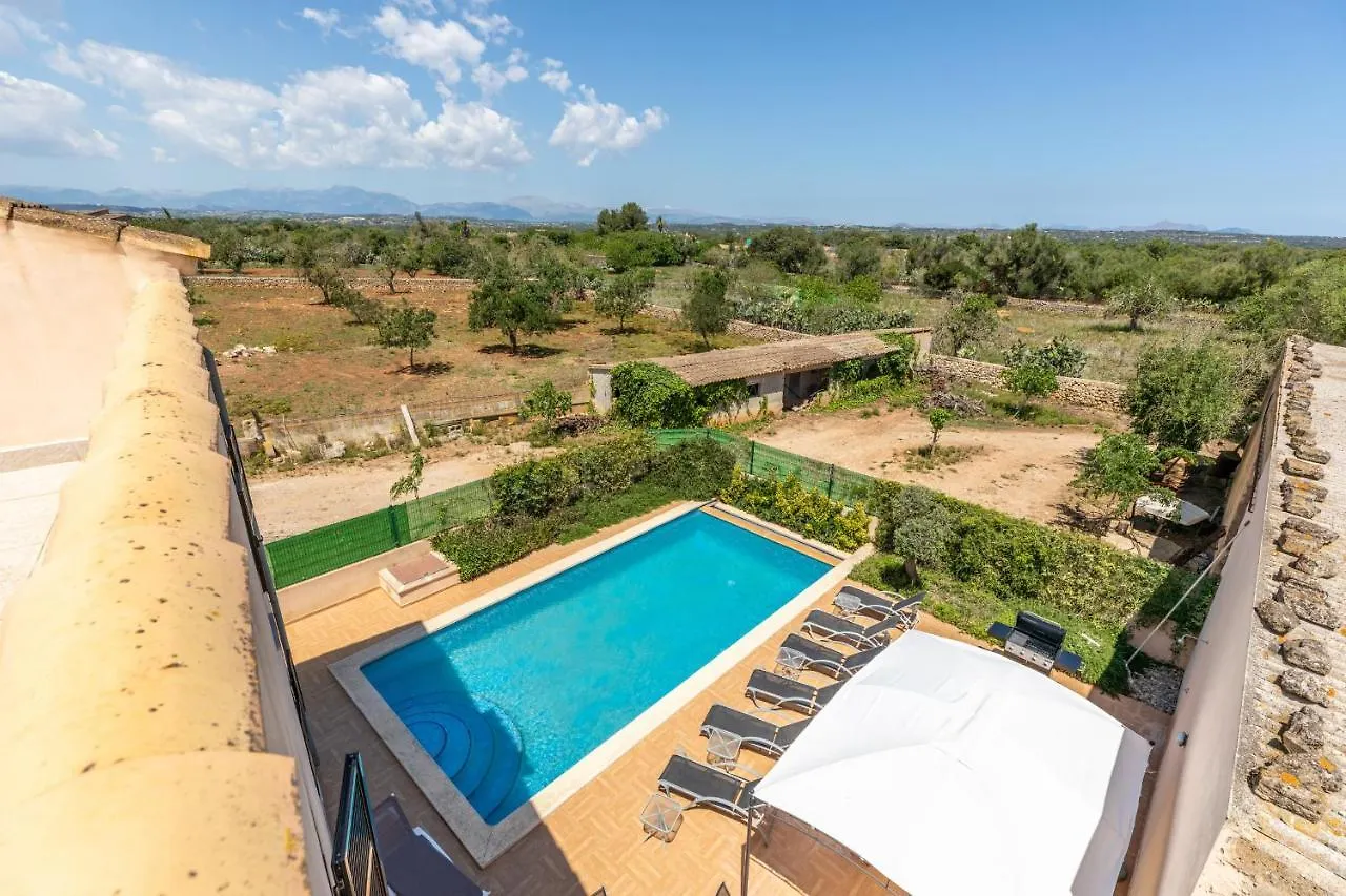 Ariany - 38358-9 Mallorca