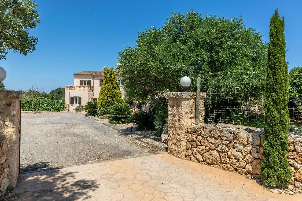 Ariany - 38358-9 Mallorca