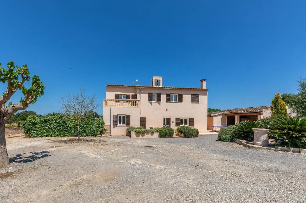 Ariany - 38358-9 Mallorca Holiday home