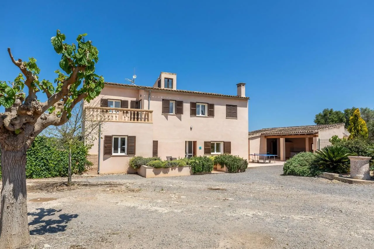 Ariany - 38358-9 Mallorca