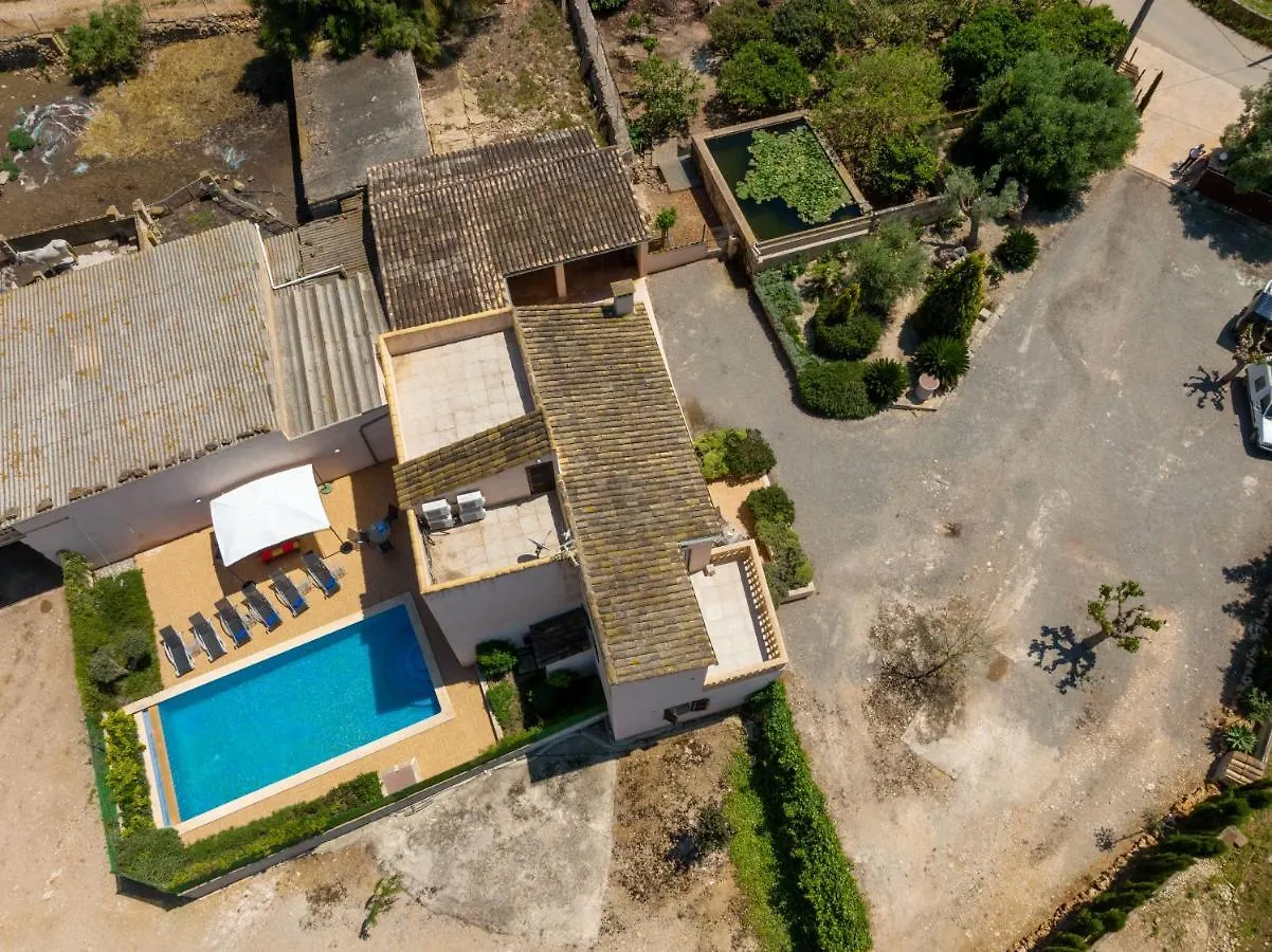 Holiday home Ariany - 38358-9 Mallorca Spain
